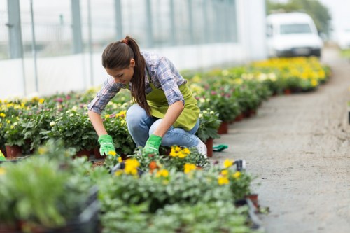 Gardener discussing maintenance plan in a Paddington garden
