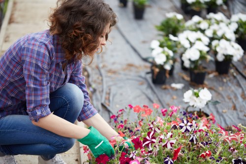 Customer speaking with a gardener during an accessible site visit