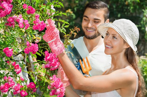 Professional lawn mowing service in Paddington