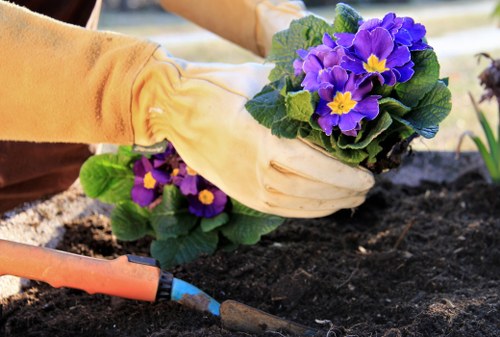 Operative demonstrating safe use of powered garden machinery