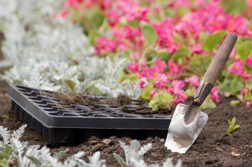 Tools for hedge trimming including shears and saws